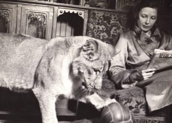 Animales amados | Vera Chaplina   (1908-1994)