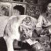 Animales amados | Vera Chaplina (1908-1994)