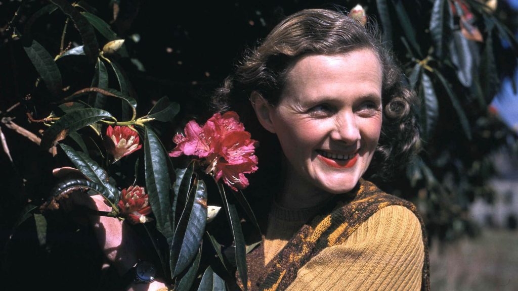 Los pájaros de Rebeca | Daphne du Maurier (1907-1989)