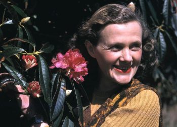 Los pájaros de Rebeca | Daphne du Maurier   (1907-1989)