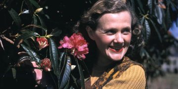 Los pájaros de Rebeca | Daphne du Maurier   (1907-1989)