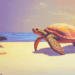 LA TORTUGA ROJA: LA RENDICIÓN AL TIEMPO