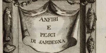 Ciencia natural jesuita | Francesco Cetti   (1726-1778)