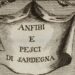Ciencia natural jesuita | Francesco Cetti   (1726-1778)
