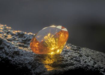SER Y TENER: DHARANA, CLAVE PARA DISOLVER LA CONFUSIÓN