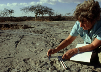 Los primeros bípedos | Mary Leakey  (1913-1996)