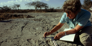 Los primeros bípedos | Mary Leakey  (1913-1996)