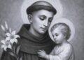 Joyero de la Biblia | Antonio de Padua (1195-1231)